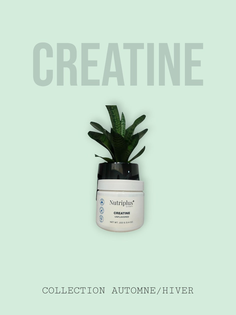 Bote de creatina monohidrato Nutriplus by Farmasi de Lilibeth Colmenarez Media junto a una planta decorativa